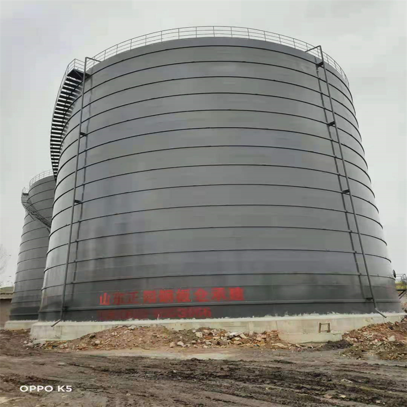 黎安镇3万吨大型钢板库