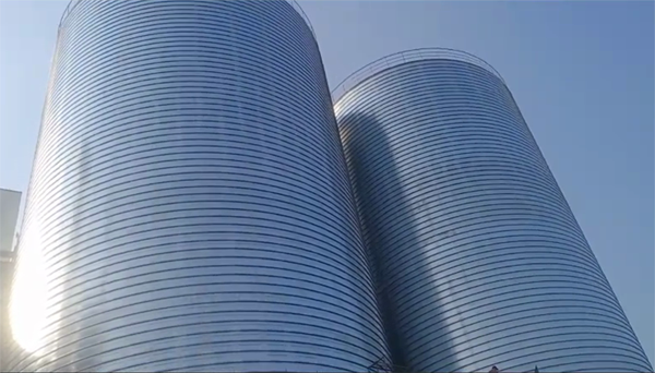 黎安镇2座混凝土高架卷板仓